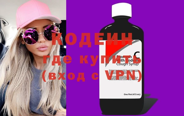 хмурый Алзамай