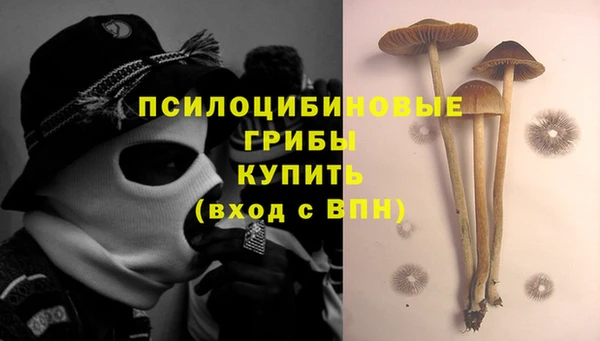 хмурый Алзамай