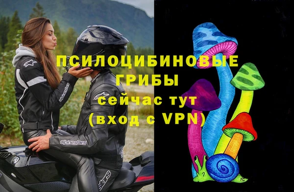 хмурый Алзамай