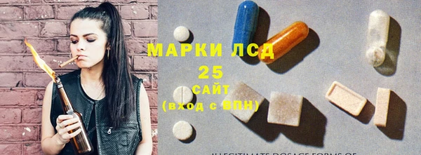 хмурый Алзамай