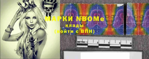 хмурый Алзамай