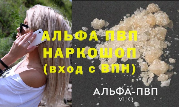 хмурый Алзамай