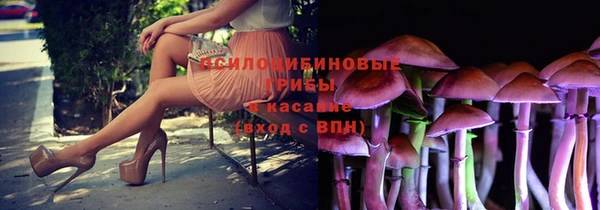 хмурый Алзамай