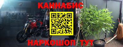 гашик Тара