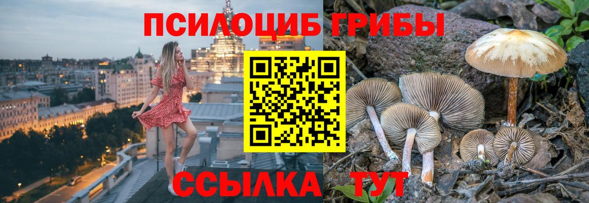 Галлюциногенные грибы мухоморы Саянск