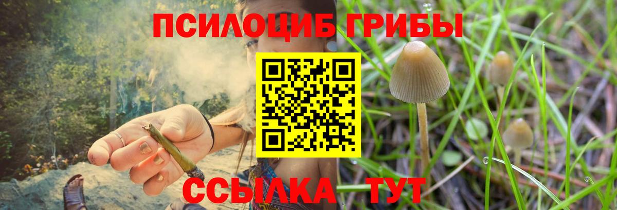 как найти закладки  Вход с VPN  Саянск  Псилоцибиновые грибы Cubensis 